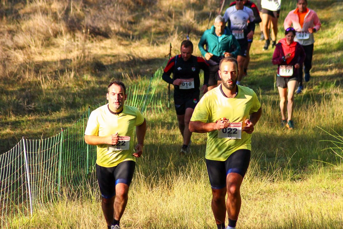 Coureurs de trail en tête de course dans les herbes hautes du Gers